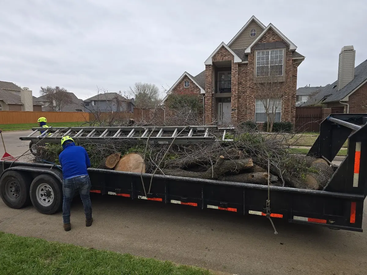 Expert Tree Pest Control with proper safety equipment in Elbridge